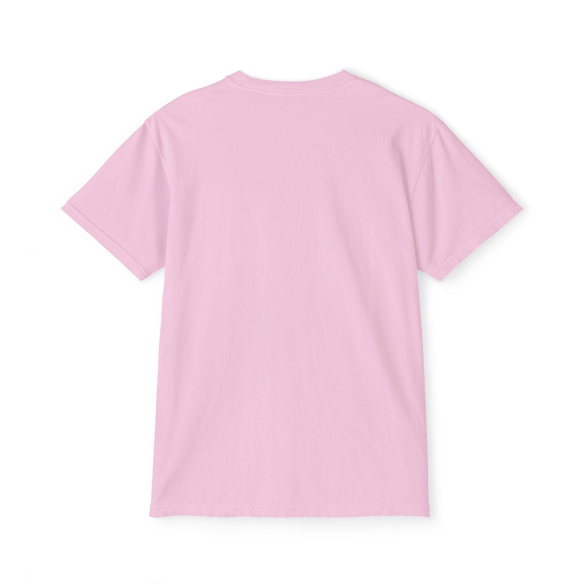 FURDREAMS Originals “FUKDACOST” Unisex Garment-Dyed Pocket T-Shirt