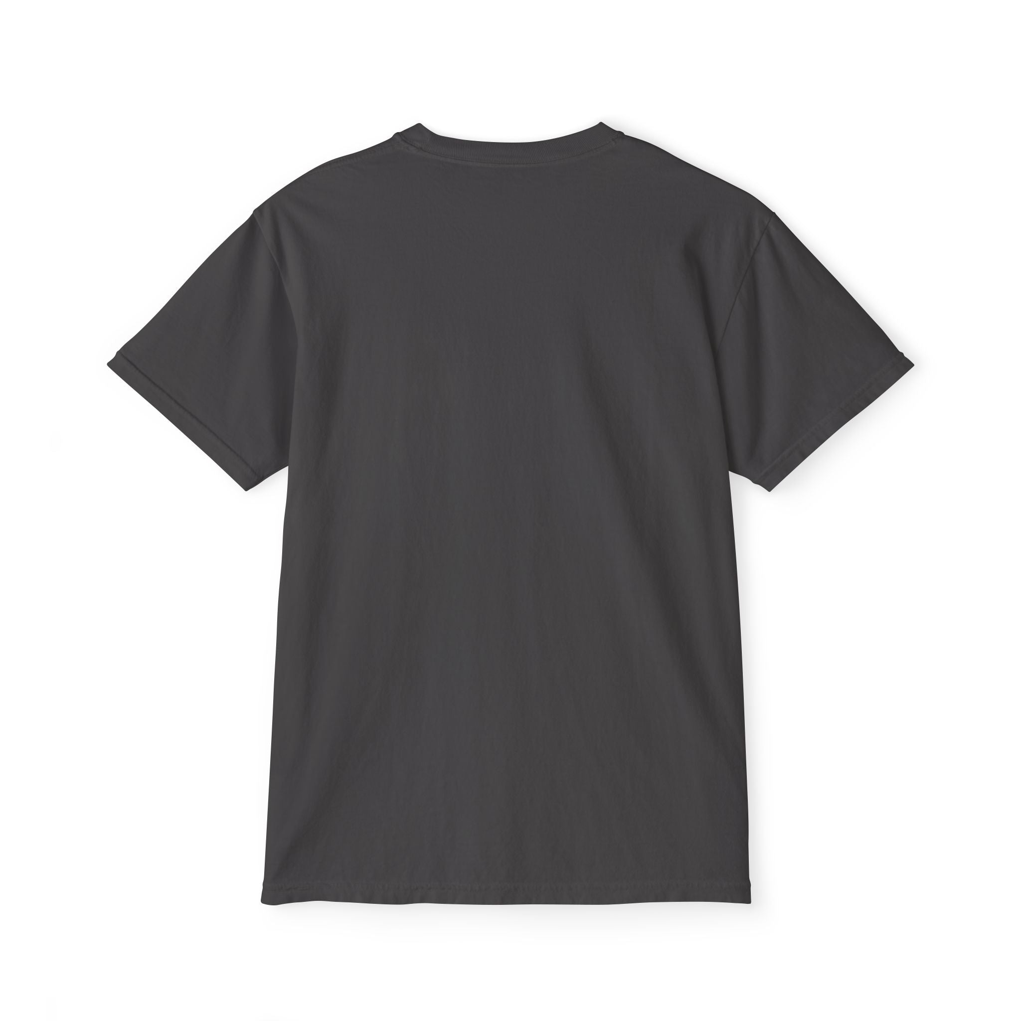 FURDREAMS Originals “FUKDACOST” Unisex Garment-Dyed Pocket T-Shirt