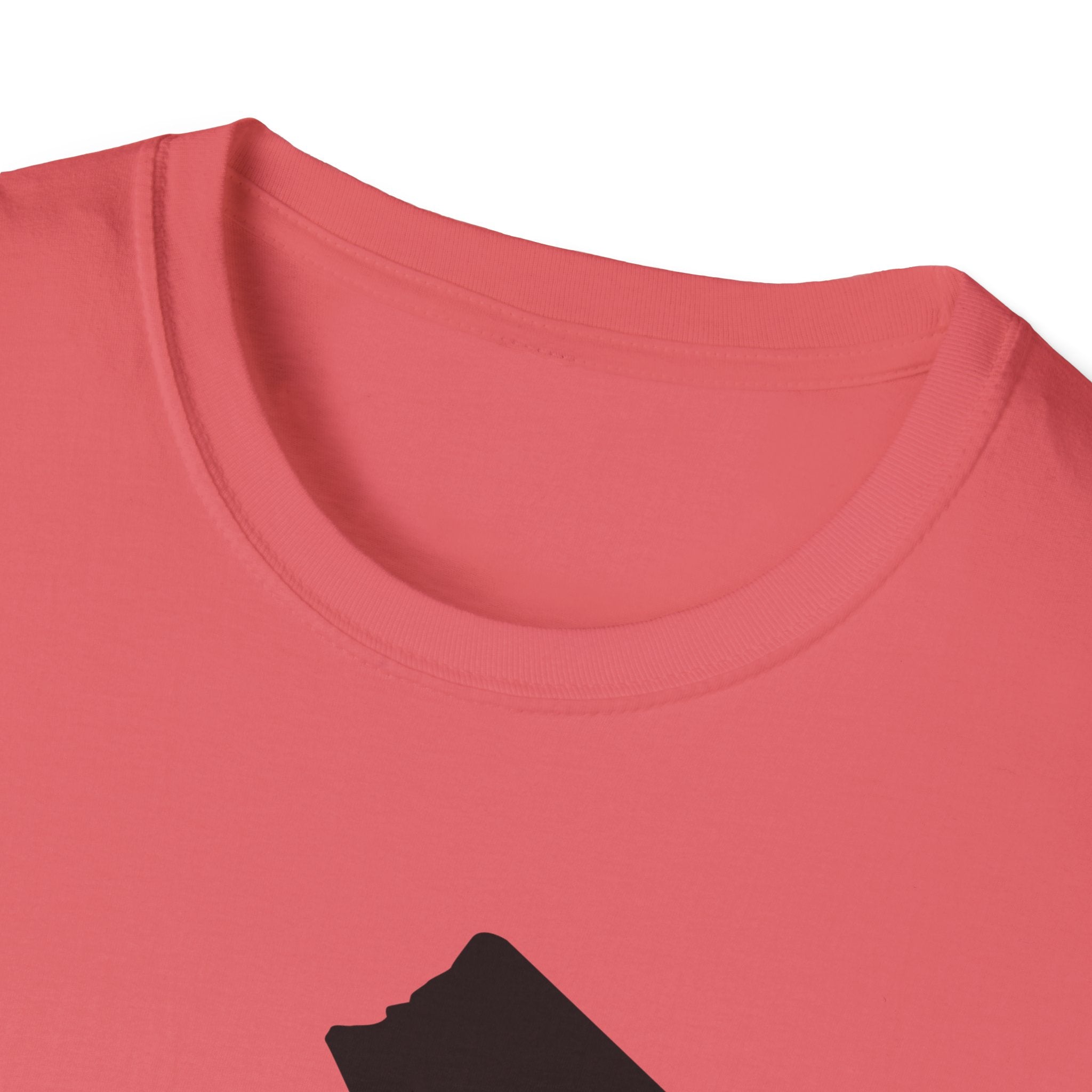FURDreams “NYG” IIB Unisex Softstyle T-Shirt