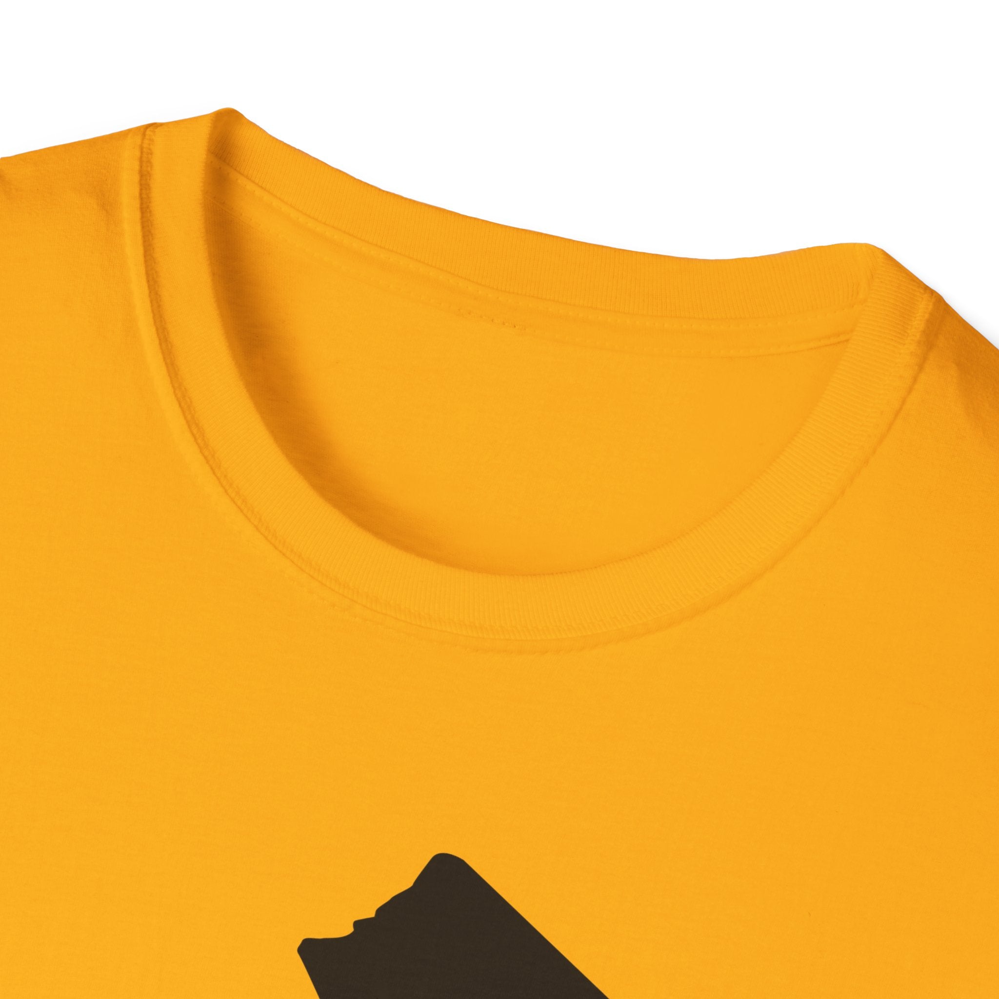 FURDreams “NYG” IIB Unisex Softstyle T-Shirt