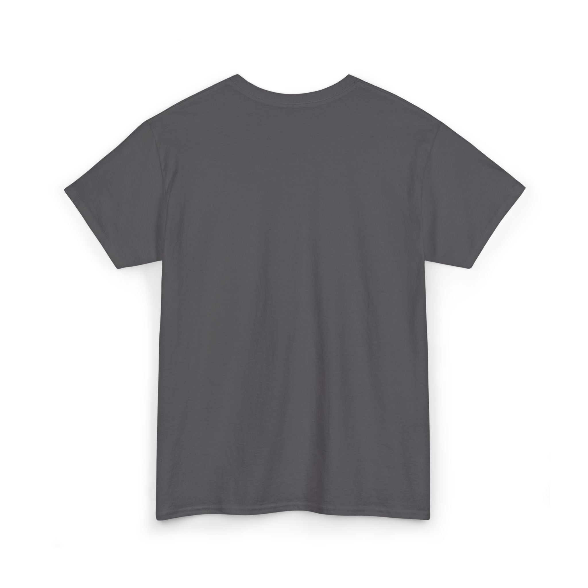 FURDREAMS "LVS" II Unisex Heavy Cotton Tee