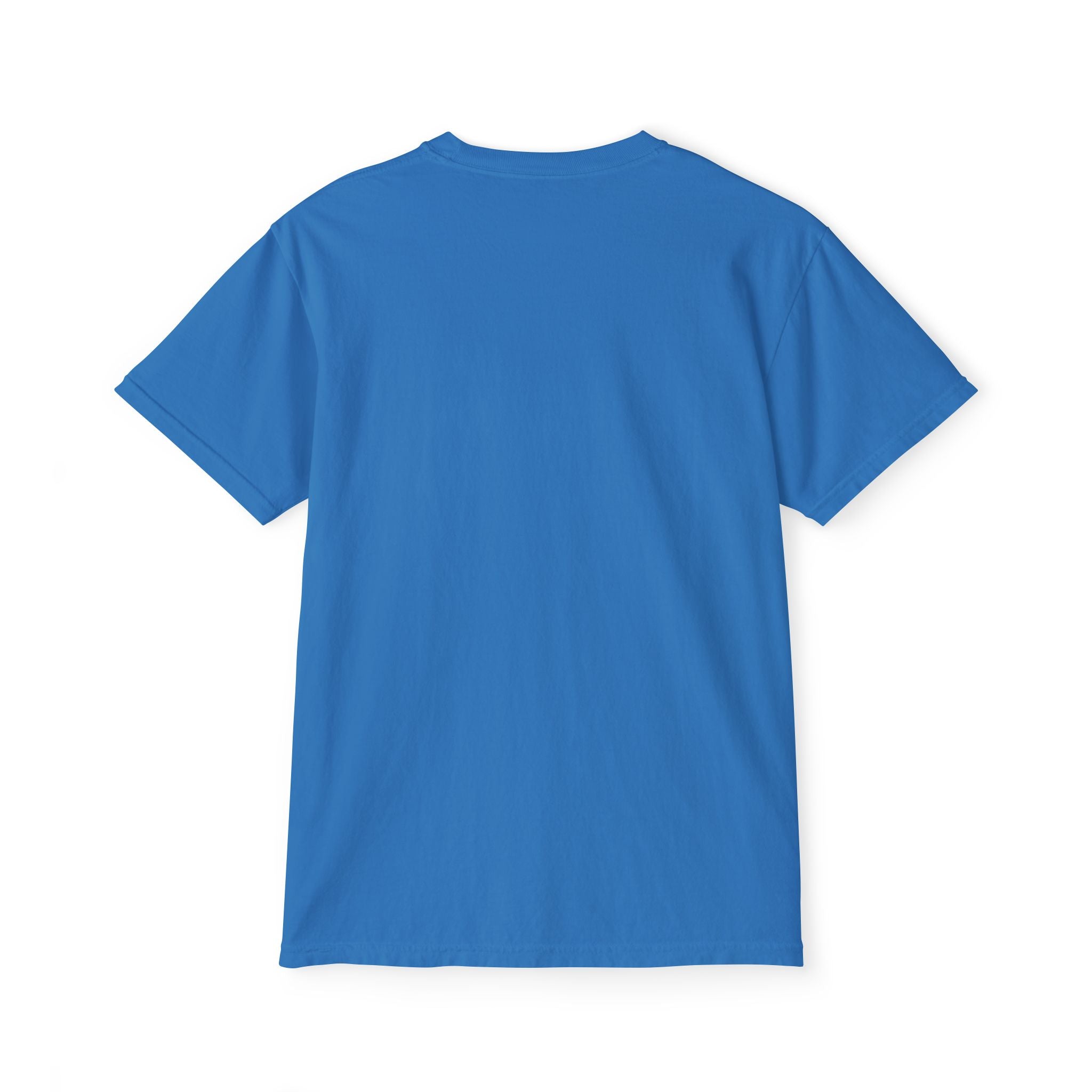 FURDREAMS Originals “FUKDACOST” Unisex Garment-Dyed Pocket T-Shirt