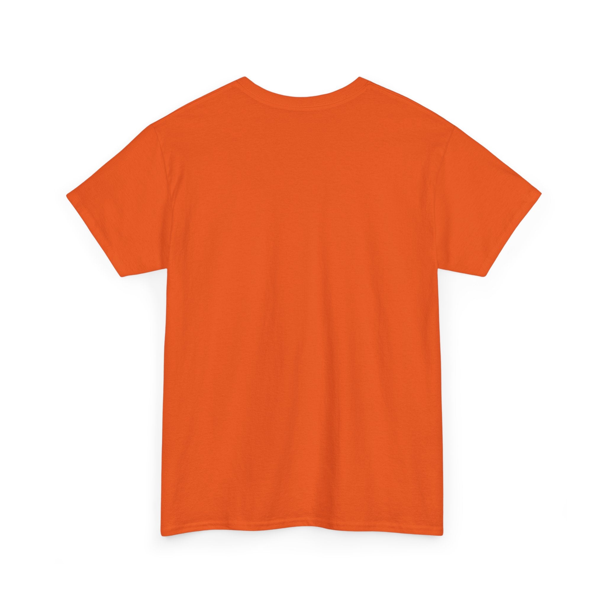 FURDREAMS "NYC" VI Unisex Heavy Cotton Tee