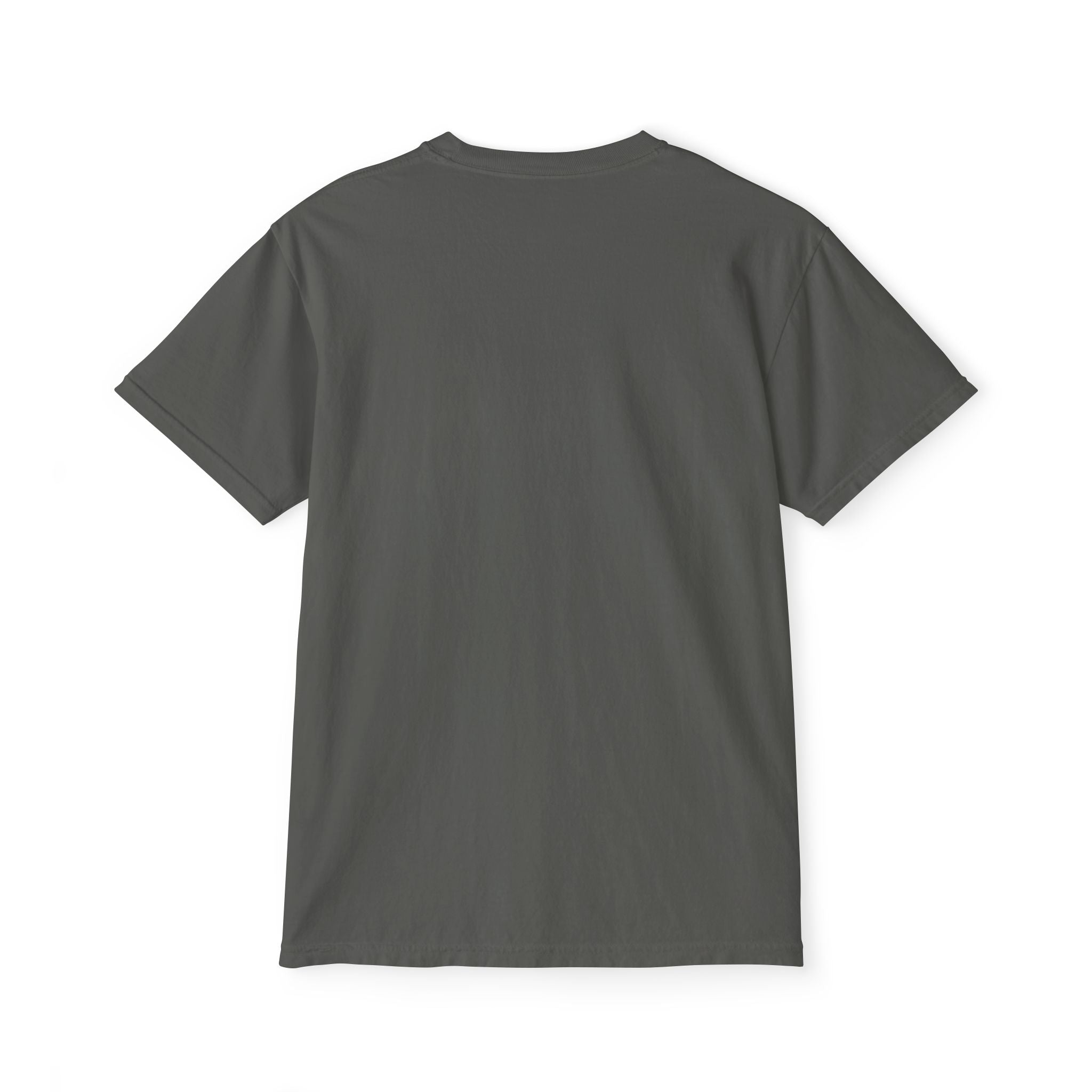 FURDREAMS Originals “FUKDACOST” Unisex Garment-Dyed Pocket T-Shirt