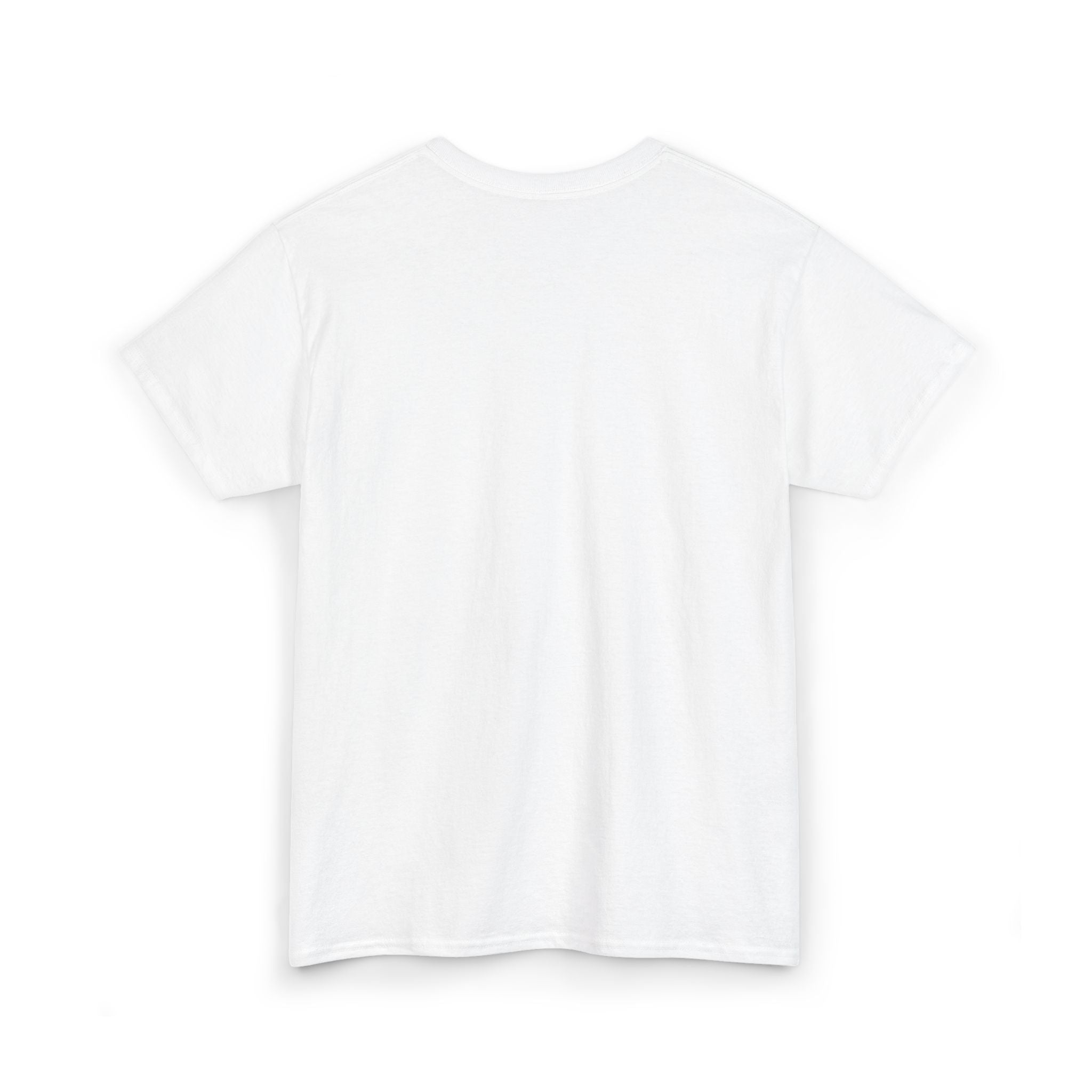 FURDREAMS "LVS" II Unisex Heavy Cotton Tee